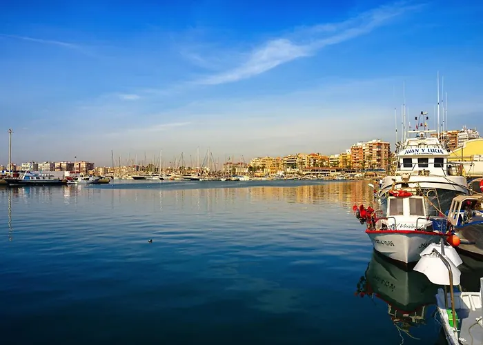 Cibeles 아파트 또레비에하